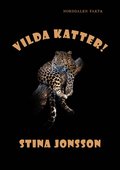 Vilda katter!