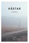 Hstar