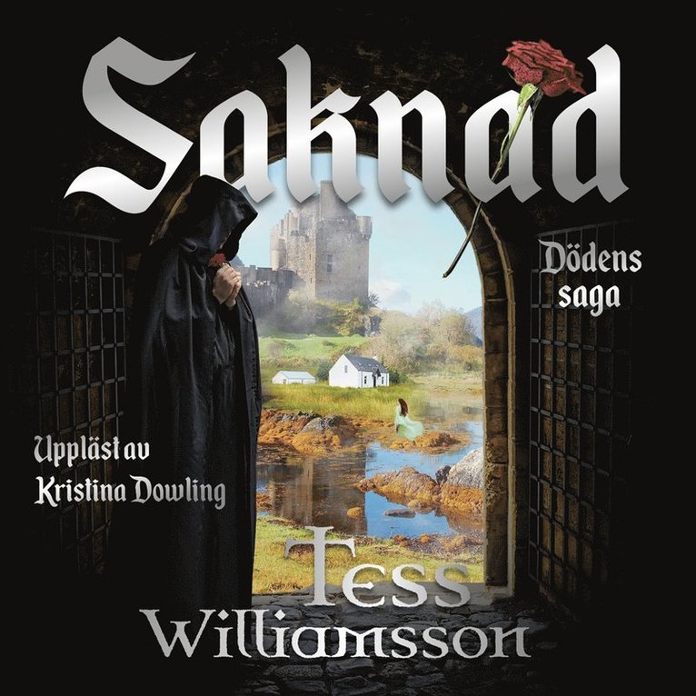Tess Williamsson - Saknad, Ljudbok