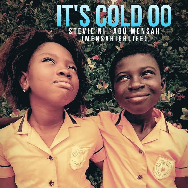 Stevie Nii-Adu Mensah - It's Cold Oo, Ljudbok