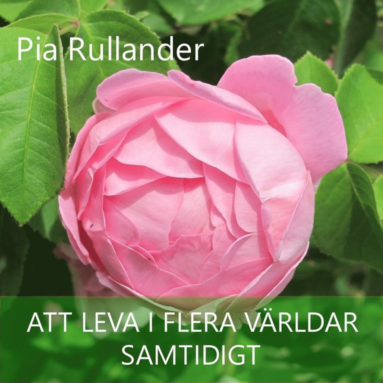 Pia Rullander - Att leva i flera världar - samtidigt, Ljudbok