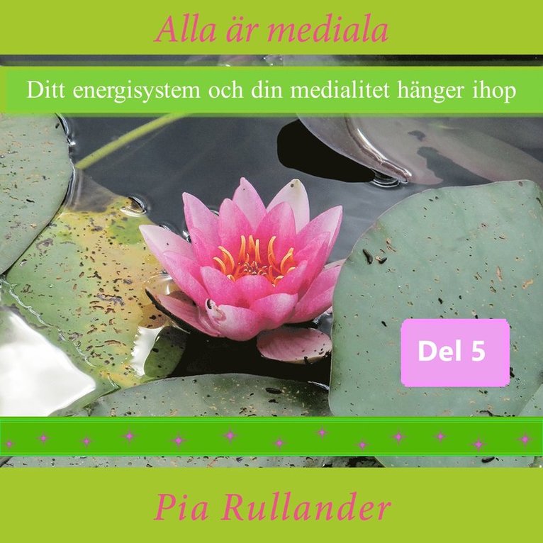 Pia Rullander - Alla är mediala. Ditt energisystem och din medialitet hänger ihop, Ljudbok