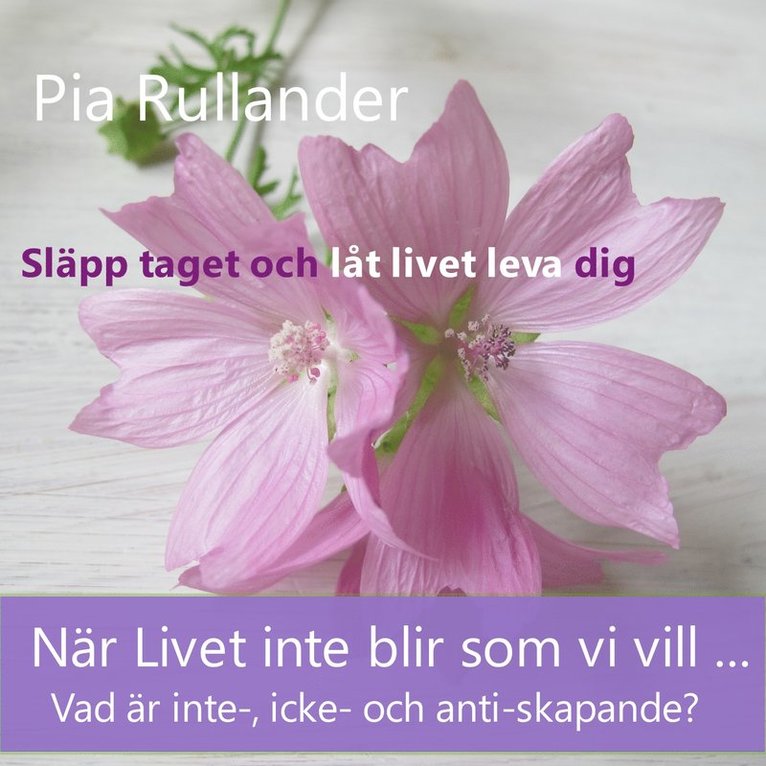 Pia Rullander - När Livet inte blir som vi vill... Vad är inte- icke-och anti-skapande?  Släpp taget och låt livet leva dig., Ljudbok