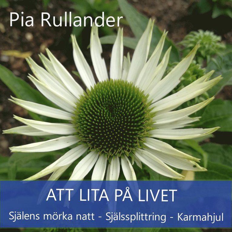 Pia Rullander - Att lita på Livet. Själens mörka natt, Själssplittring och Karmahjul, Ljudbok