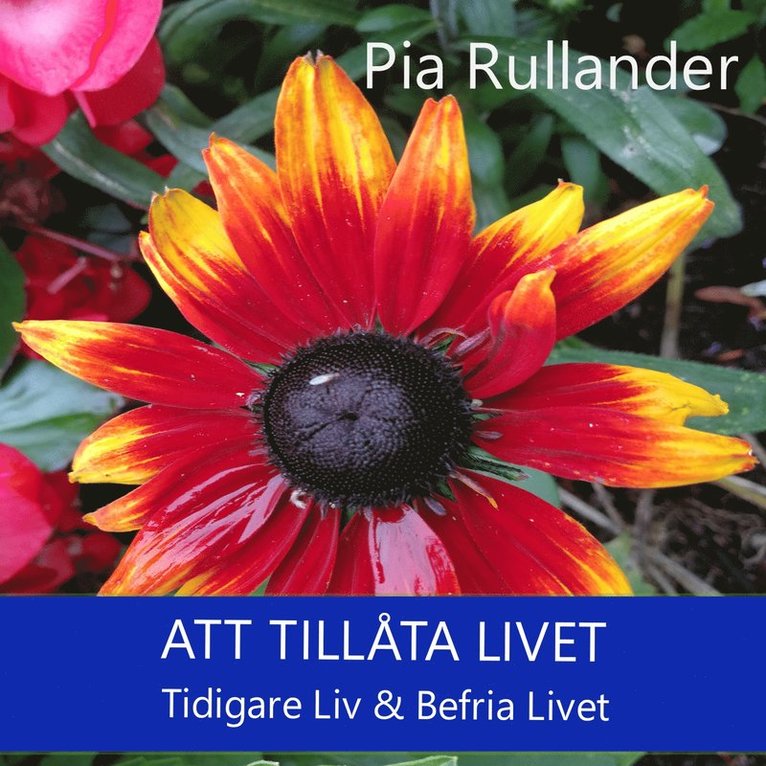 Pia Rullander - Att tillåta livet - leva. Tidigare Liv & Befria Livet., Ljudbok