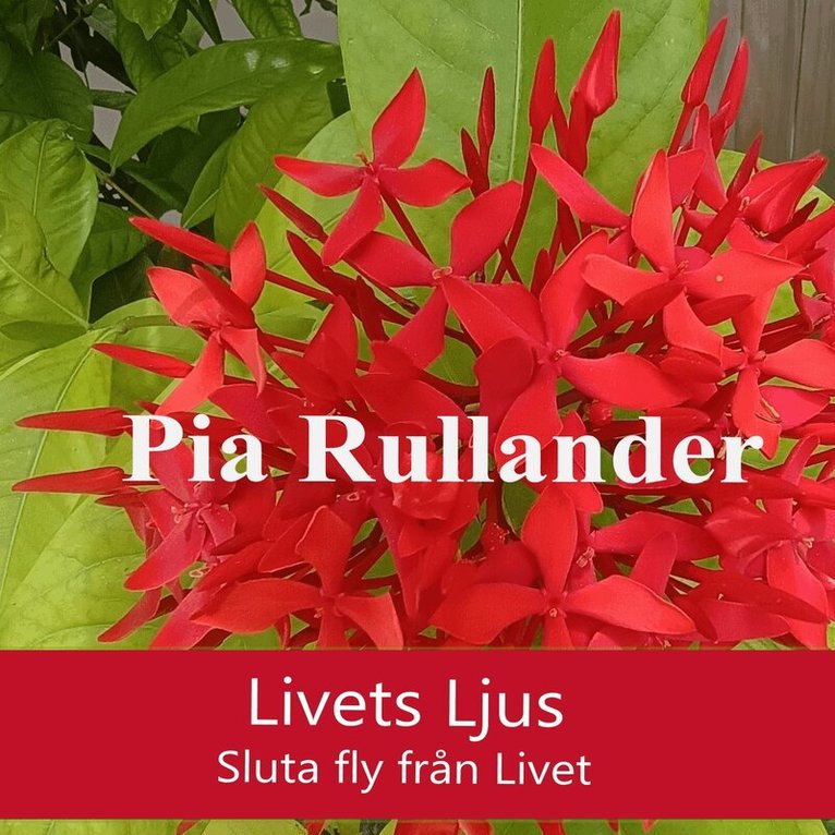 Pia Rullander - Livets Ljus. Sluta fly från Livet., Ljudbok