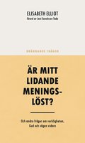 Är mitt lidande meningslöst? : och andra frågor om verkligheten, Gud och vägen vidare