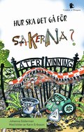 Hur ska det gå för sakerna?