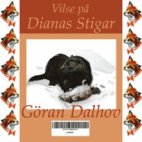 Vilse p Dianas Stigar