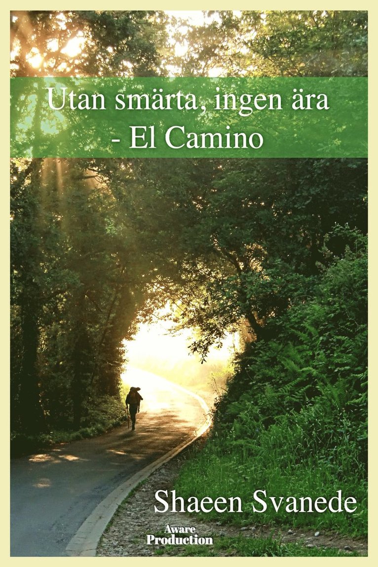 Shaeen Svanede - Utan smärta, ingen ära – el Camino, E-bok
