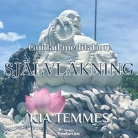 Sjlvlkning, guidad meditation