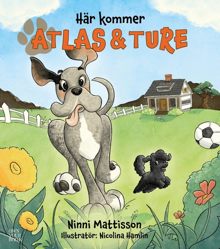 Ninni Mattisson - Här kommer Atlas och Ture, Kartonnage