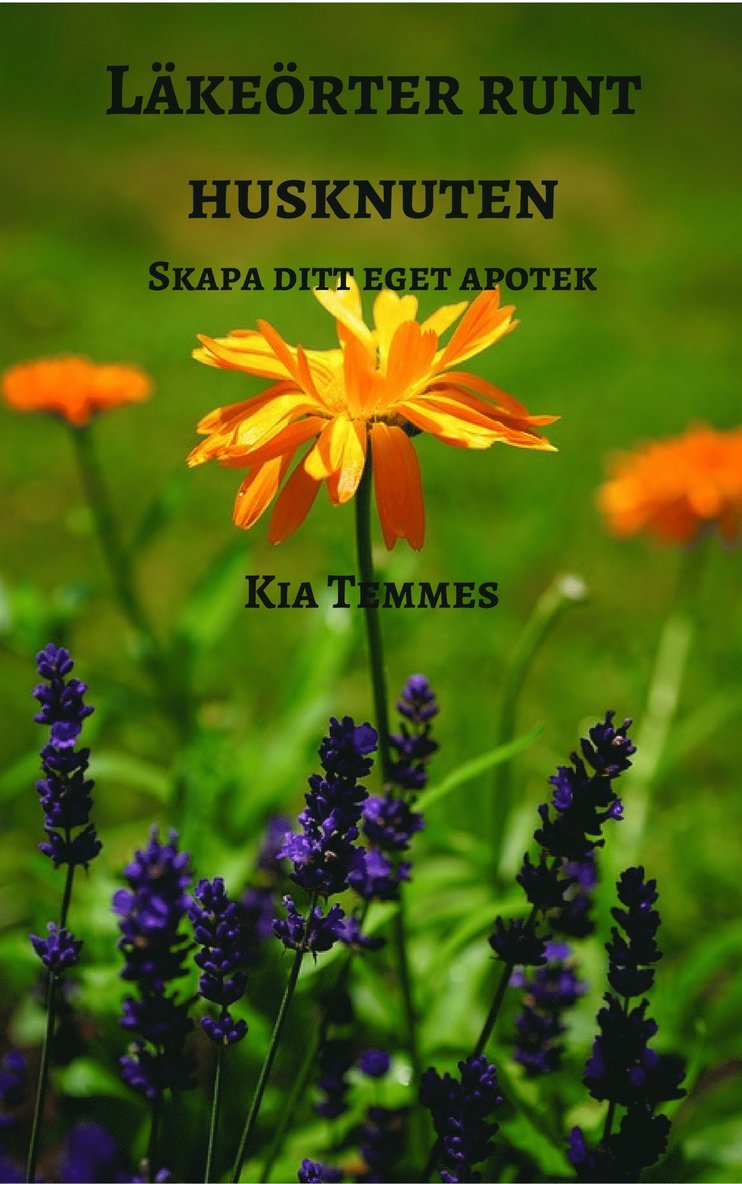 Kia Temmes - Läkeörter runt husknuten, skapa ditt eget apotek, E-bok