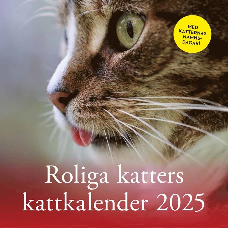 Roliga katters kattkalender 2025, Häftad