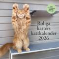 Roliga katters kattkalender 2026
