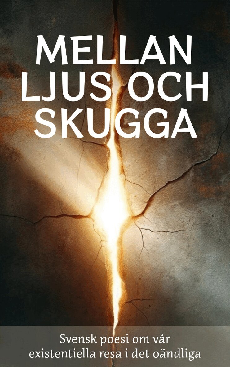 Julia Appelskog - Mellan ljus och skugga : svensk poesi om vår existentiella resa i det oändliga, Inbunden