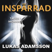 Tagen i mörkret