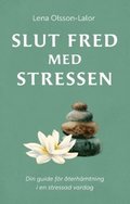 Slut fred med stressen : Din guide fr terhmtning i en stressad vardag