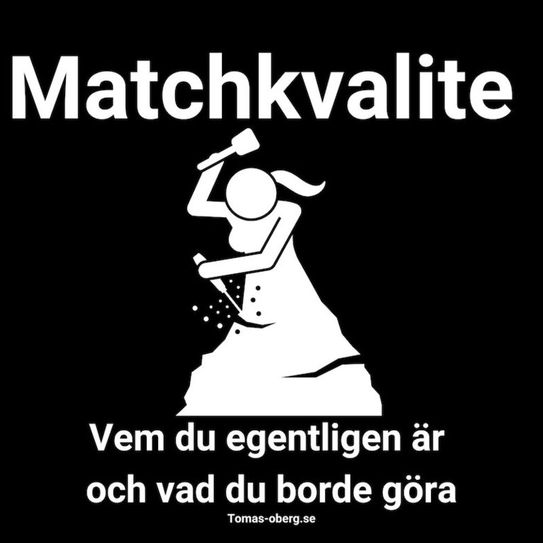 Tomas Öberg - Vem du egentligen är och vad du borde göra, Ljudbok