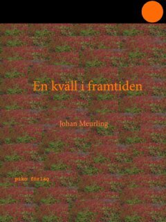 Johan Meurling - En kväll i framtiden, E-bok