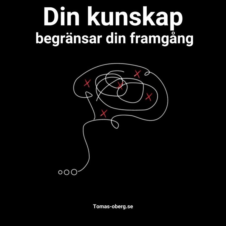 Tomas Öberg - Din kunskap begränsar din framgång, Ljudbok