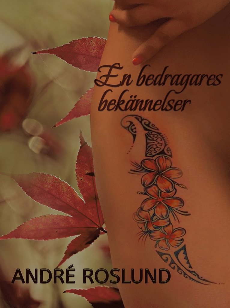 André Roslund - En bedragares bekännelser, E-bok