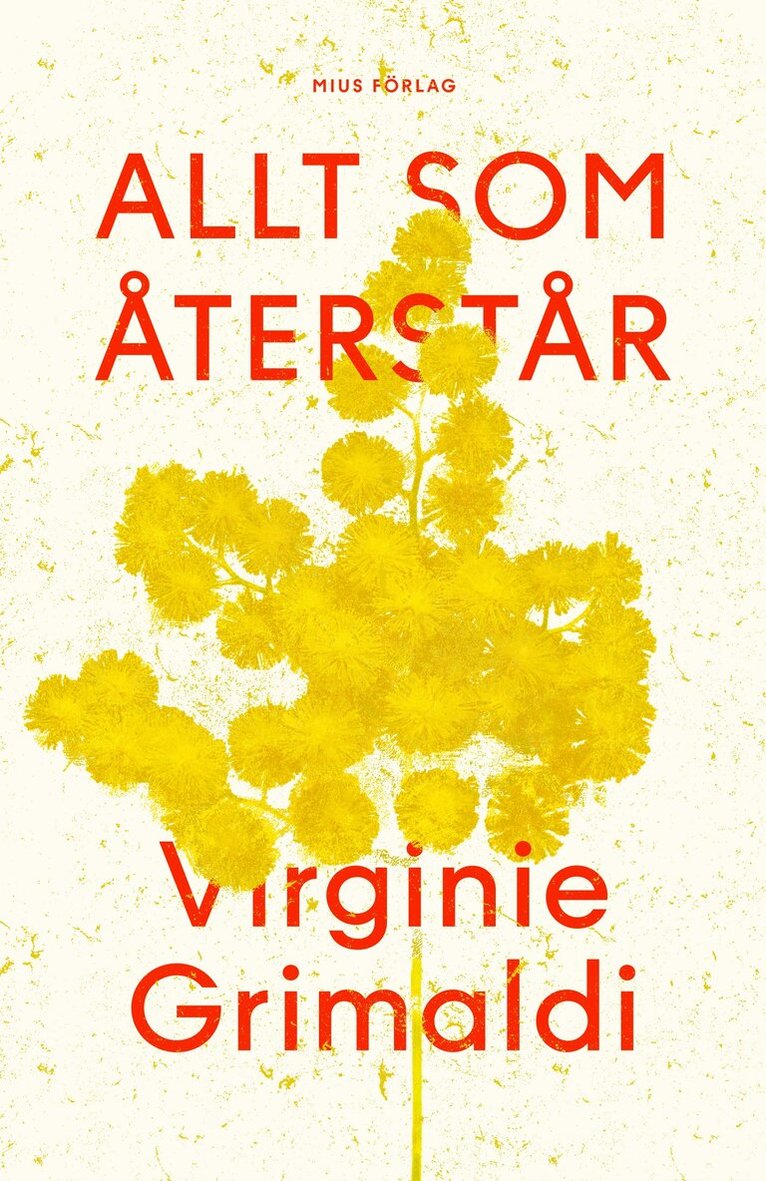 Virginie Grimaldi - Allt som återstår, E-bok