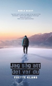 Jag sg att det var du
