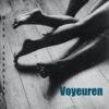 Mika Johansson - Voyeuren, E-bok