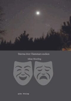 Johan Meurling - Stierna över Hammars socken, E-bok