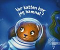 Var katten har jag hamnat?