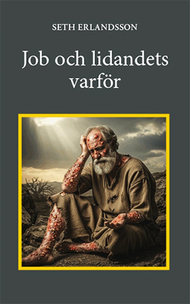 Seth Erlandsson - Job och lidandets varför, Inbunden. Tillgänglighet: Lägg i varukorg