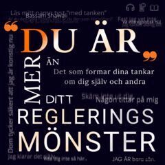 Bassam Shawali - Du är mer än ditt Regleringsmönster : det som formar dina tankar om dig själv och andra, E-bok