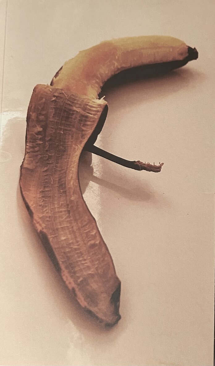 Niklas Åkesson, Per Alvsten - Bananmanual, Häftad