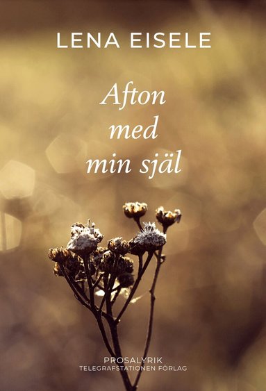 Afton med min själ
