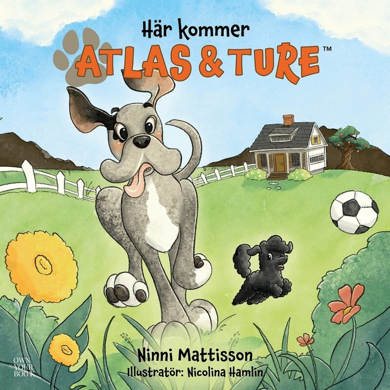 Ninni Mattisson - Här kommer Atlas och Ture (lyssna och läs), E-bok