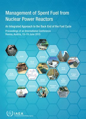 IAEA - Management of Spent Fuel from Nuclear Power Reactors, Häftad