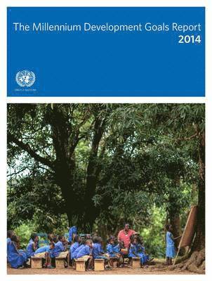 Department of Economic and Social Affairs United Nations - Millennium Development Goals Report 2014, Häftad