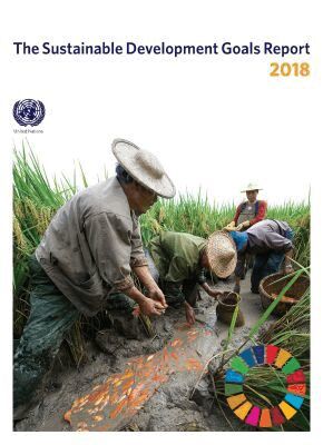United Nations Department for Economic and Social Affairs, United Nations Publications - Sustainable Development Goals Report 2018, Häftad. Tillgänglighet: Tillfälligt slut