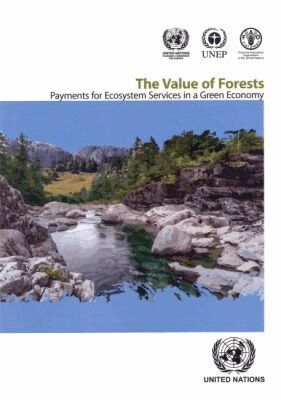 Economic Commission for Europe United Nations, Economic Commission for Europe, United Nations Publications - Value of Forests, Häftad. Tillgänglighet: Tillfälligt slut