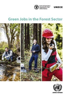 United Nations Economic Commission for Europe, United Nations Publications - Green Jobs in the Forest Sector, Häftad. Tillgänglighet: Tillfälligt slut