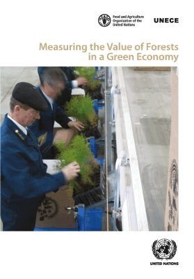 United Nations Economic Commission for Europe, United Nations - Measuring the Value of Forests in a Green Economy, Häftad. Tillgänglighet: Tillfälligt slut