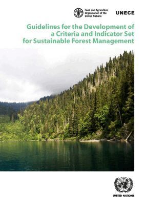 United Nations Economic Commission for Europe, United Nations Publications - Guidelines for the Development of a Criteria and Indicator Set for Sustainable Forest Management, Häftad. Tillgänglighet: Tillfälligt slut