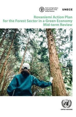 United Nations Economic Commission for Europe, United Nations Publications - Rovaniemi Action Plan for the Forest Sector in a Green Economy: Mid-Term Review, Häftad. Tillgänglighet: Tillfälligt slut