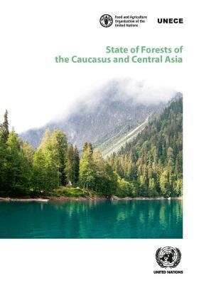 United Nations Economic Commission for Europe, United Nations Publications - State of Forests of the Caucasus and Central Asia, Häftad. Tillgänglighet: Tillfälligt slut