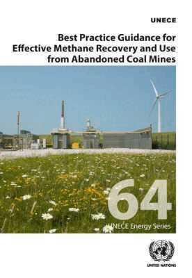 United Nations Economic Commission for Europe - Best Practice Guidance for Effective Methane Recovery and Use from Abandoned Coal Mines, Häftad. Tillgänglighet: Tillfälligt slut