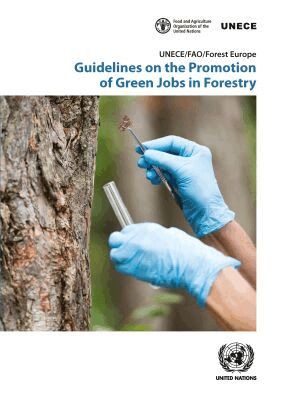 United Nations Economic Commission for Europe, United Nations Publications - Guidelines on the Promotion of Green Jobs in Forestry, Häftad. Tillgänglighet: Tillfälligt slut