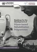 Roadmap for the development of prison-based rehabilitation programmes