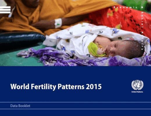 United Nations Department of Economic and Social Affairs United Nations - World Fertility Patterns 2015, Häftad. Tillgänglighet: Tillfälligt slut