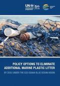 Policy options to eliminate additional marine plastic litter by 2050 under the G20 Osaka Blue Ocean Vision